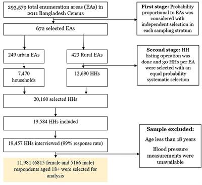 Hypertension and undiagnosed hypertension among Bangladeshi adults: Identifying prevalence and associated factors using a nationwide survey